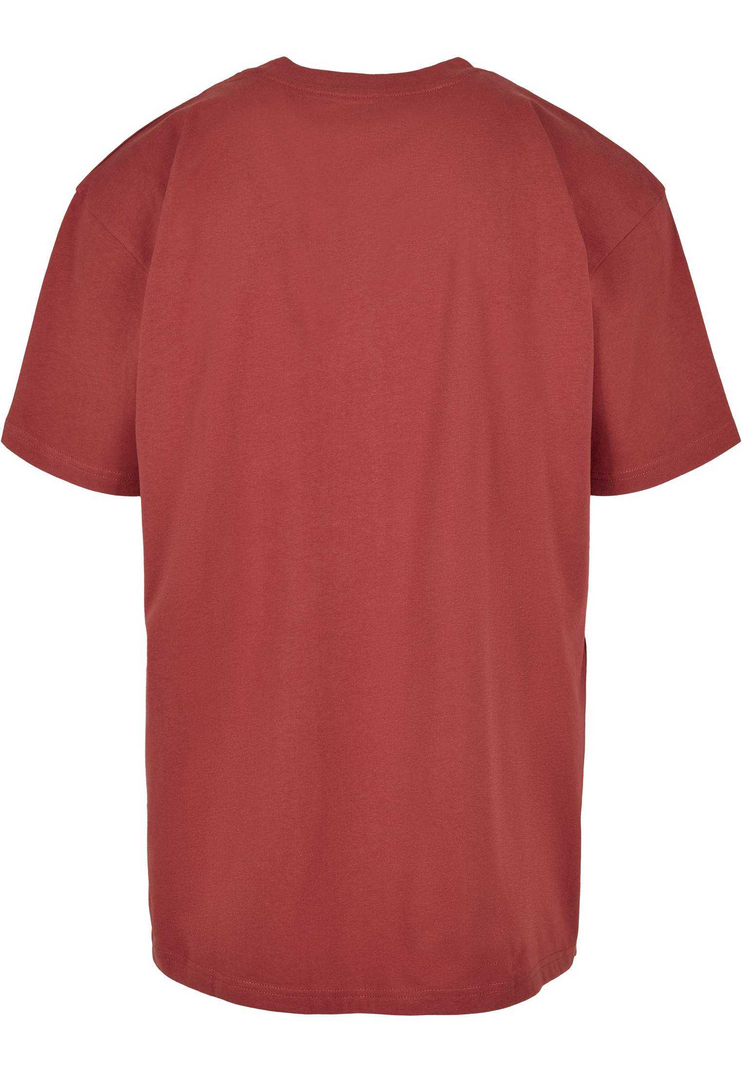 Saisonware Southpole Harlem Tee in Farbe brick red