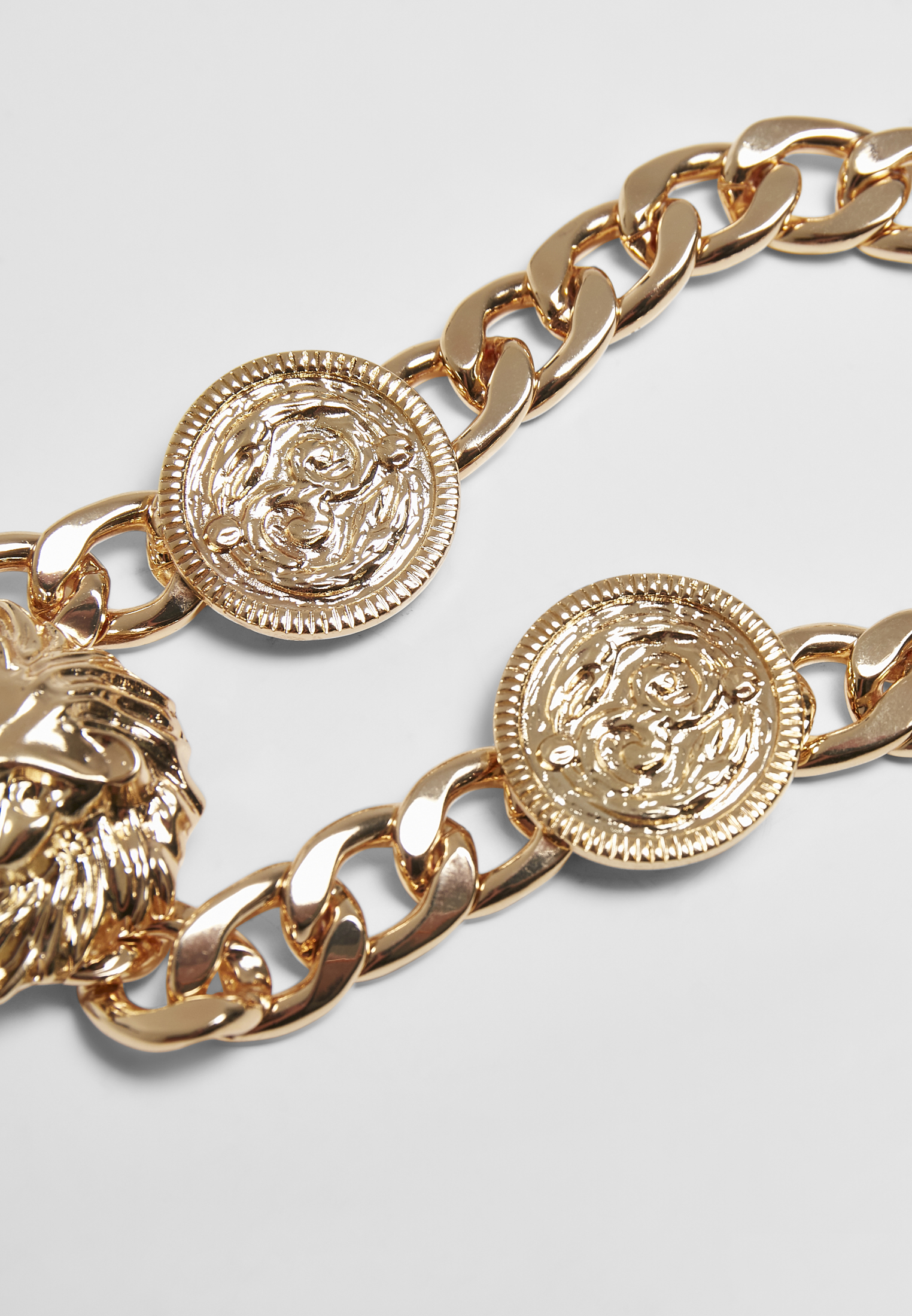 Schmuck Lion Necklace in Farbe gold