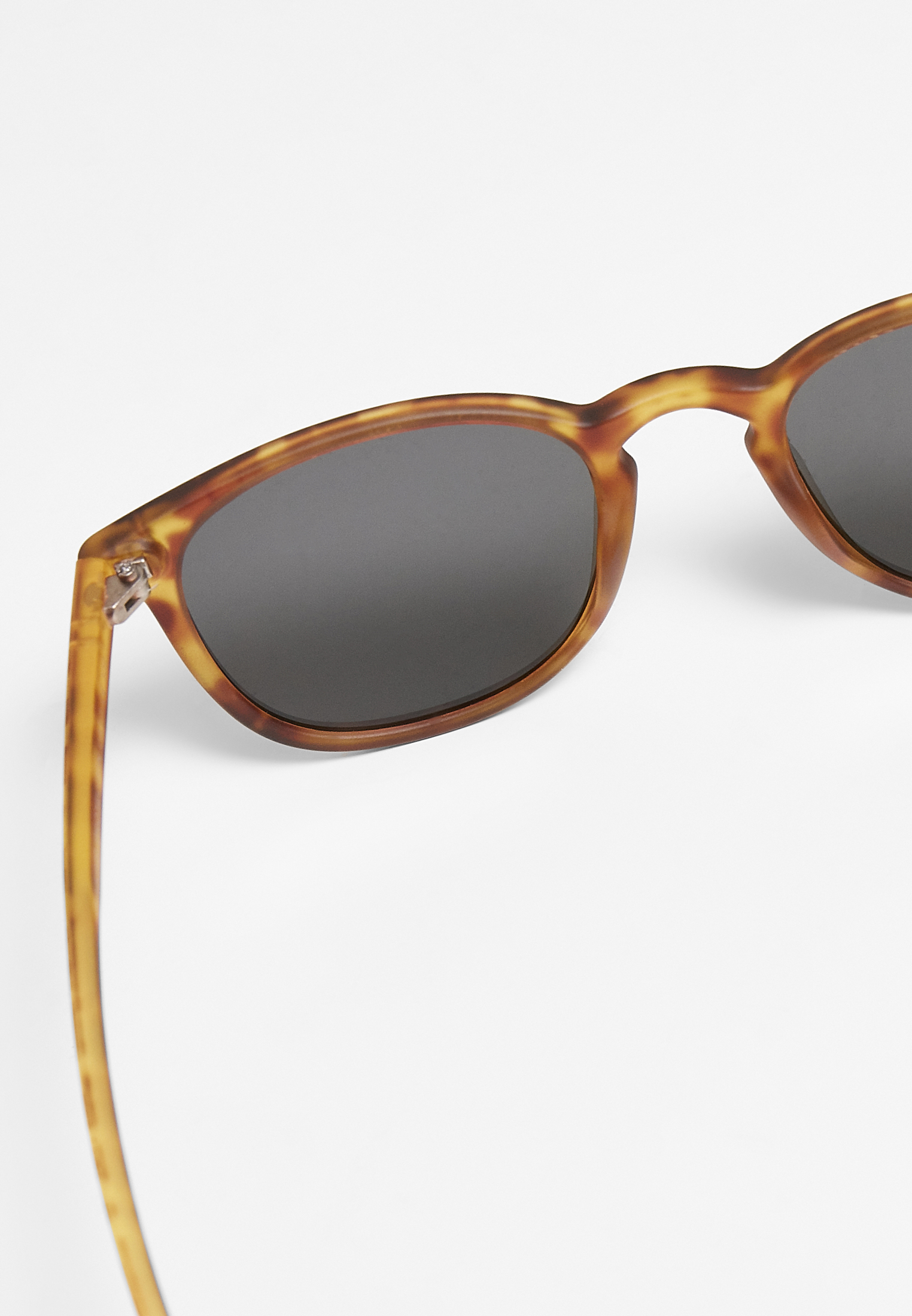 Sonnenbrillen Sunglasses Arthur UC in Farbe brown leo/grey