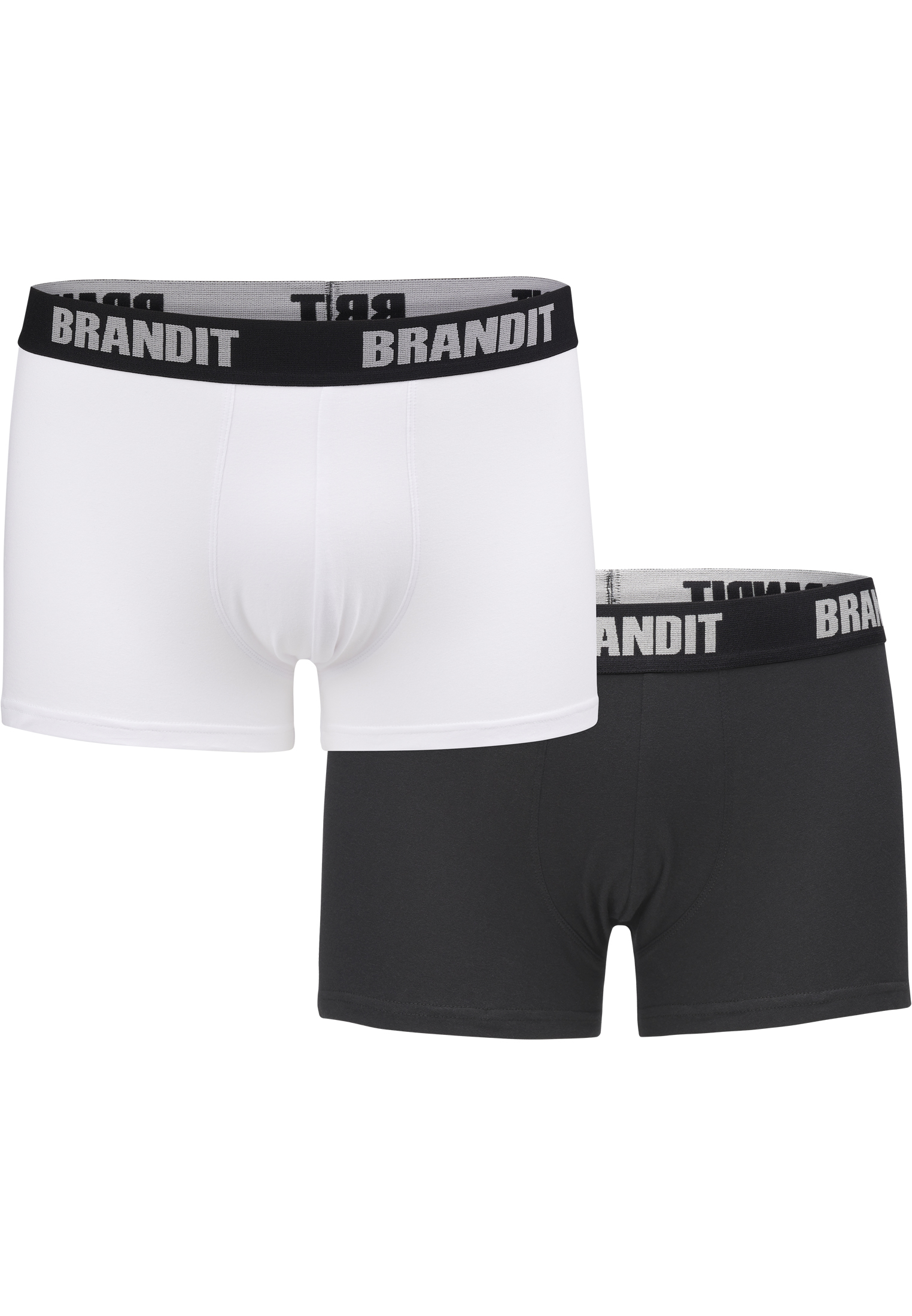 Underwear Boxershorts Logo 2er Pack in Farbe swedish camo