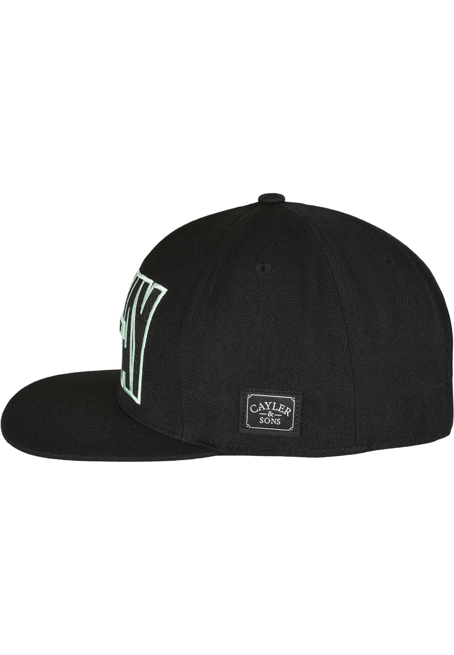  WL No Way Out Cap in Farbe black/mint
