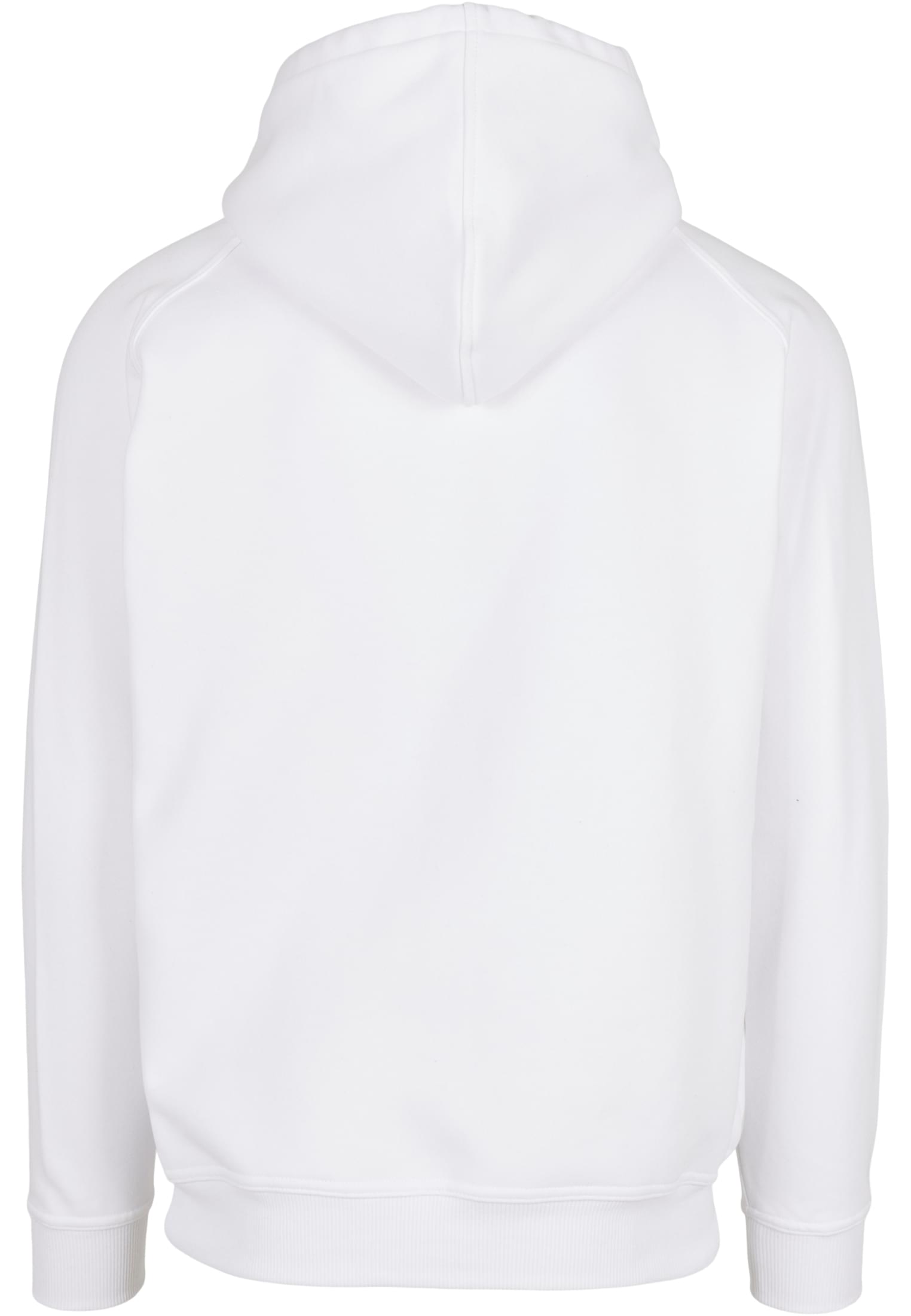 Plus Size Blank Hoody in Farbe white
