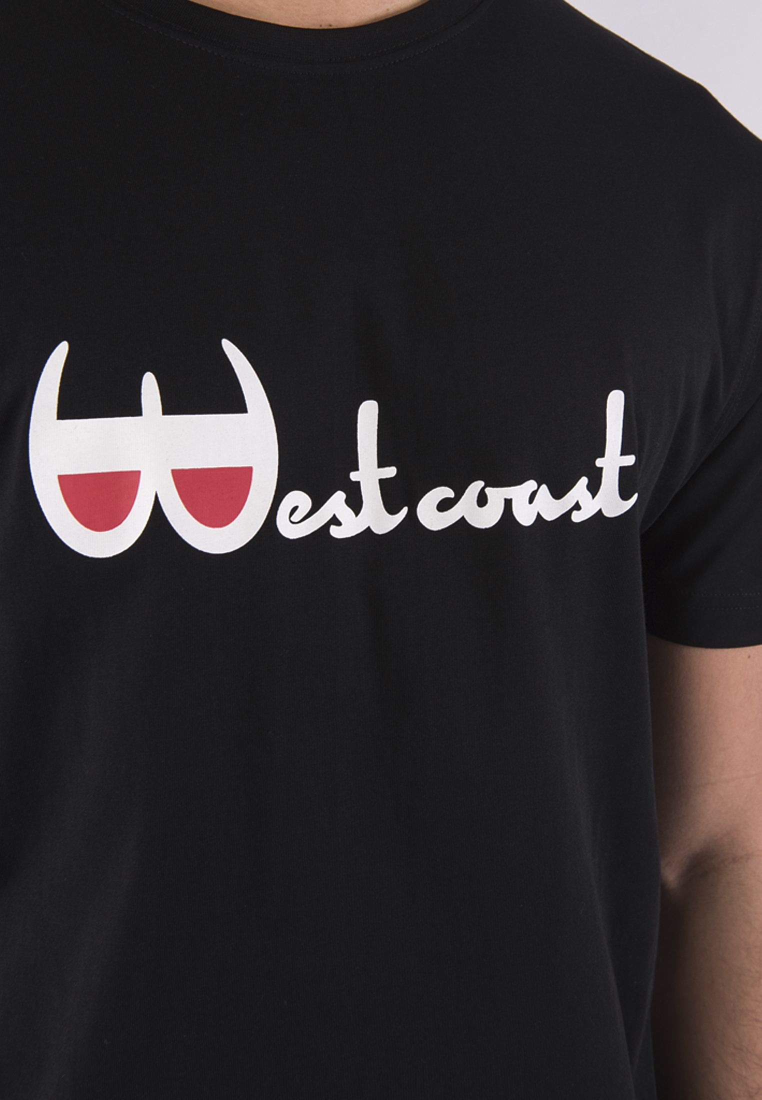 T-Shirts C&S WL Westcoast Tee in Farbe black/mc