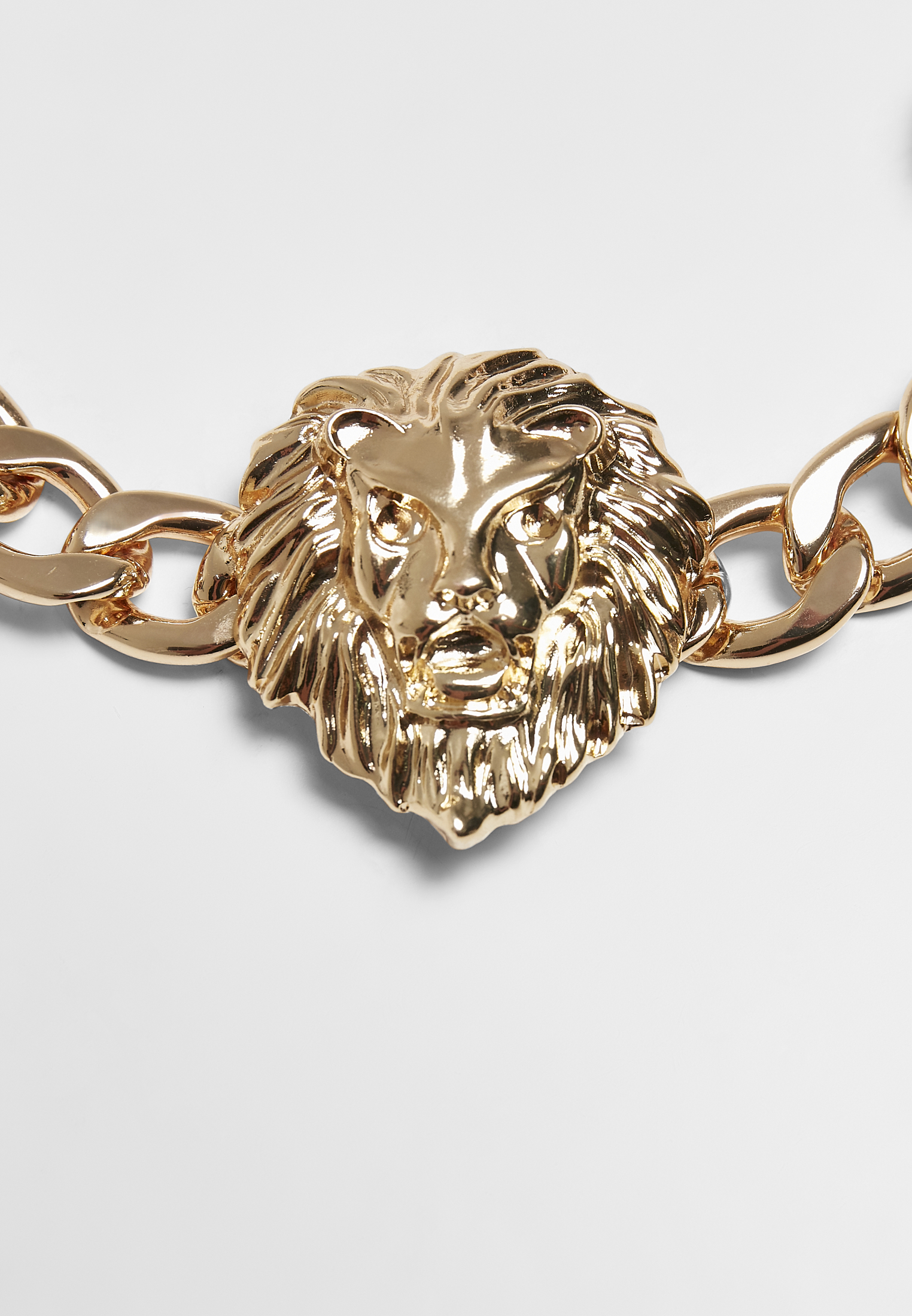 Schmuck Lion Necklace in Farbe gold