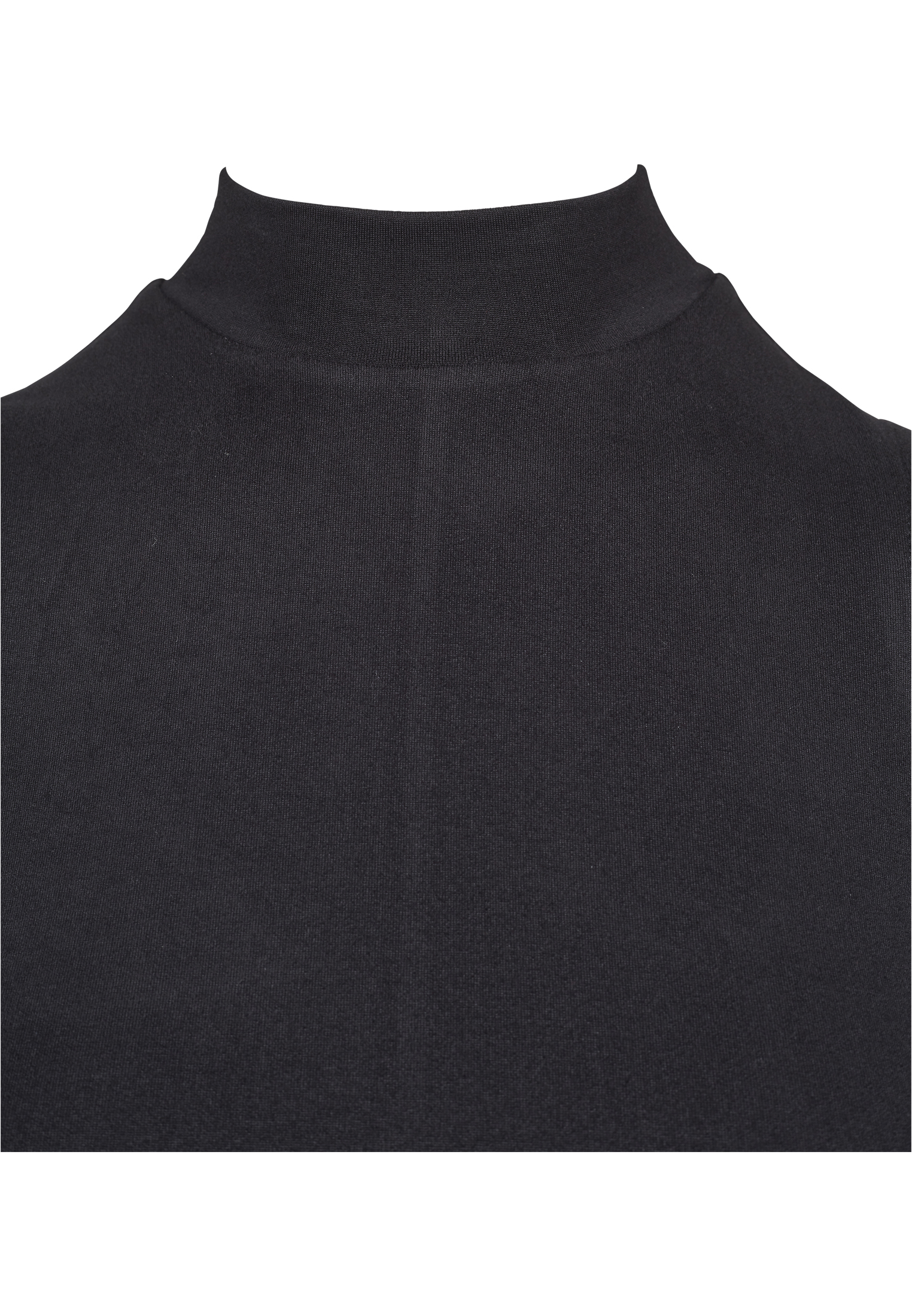 Curvy Ladies A-Line Turtleneck Dress in Farbe black
