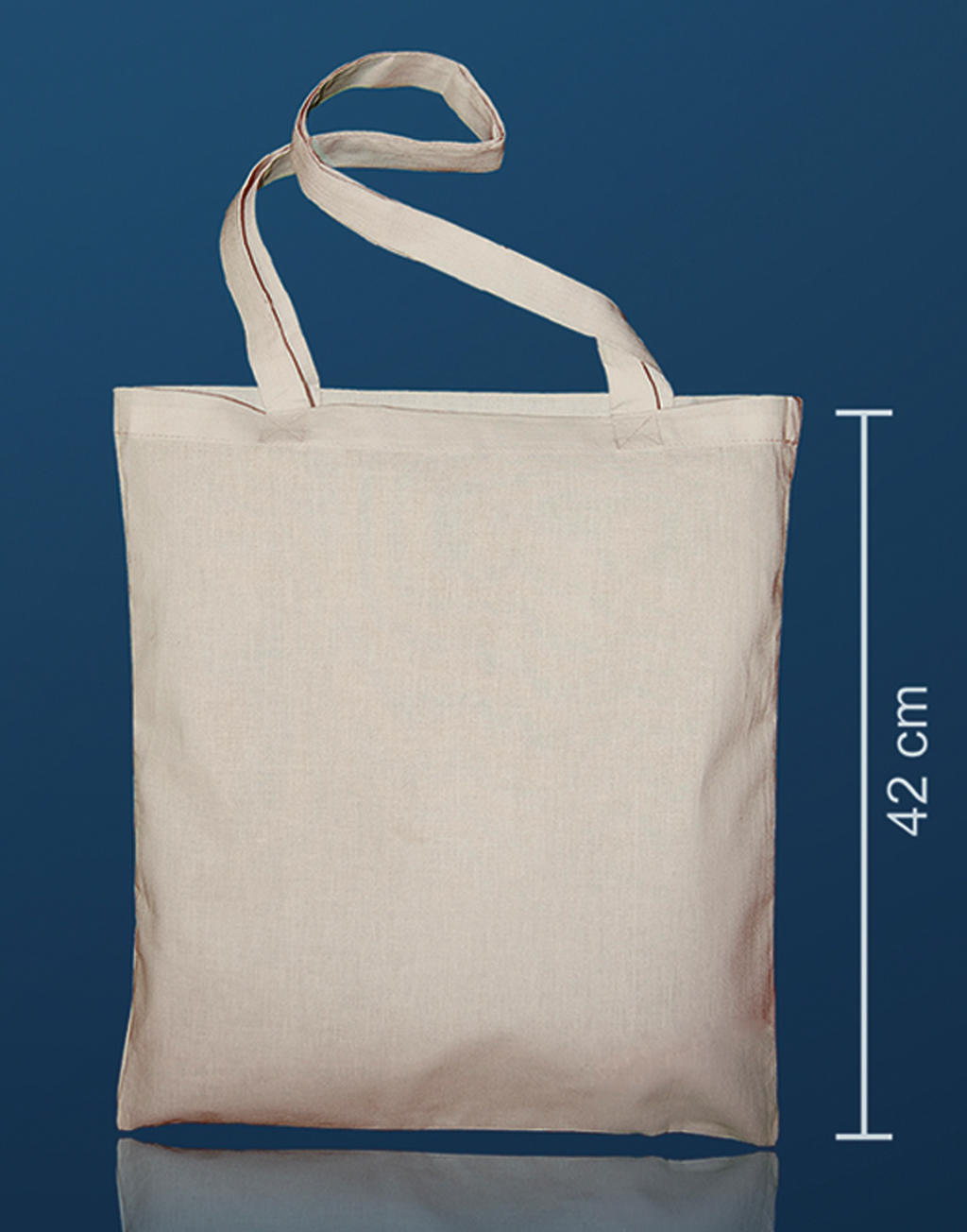  Canvas Tote LH in Farbe Natural